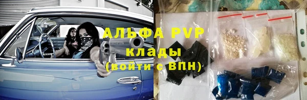 прущие грибы Верхнеуральск
