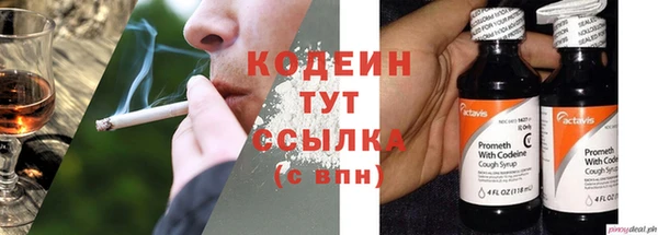 прущие грибы Верхнеуральск