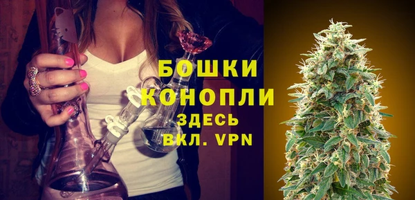 прущие грибы Верхнеуральск