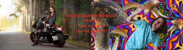прущие крисы Верхний Тагил